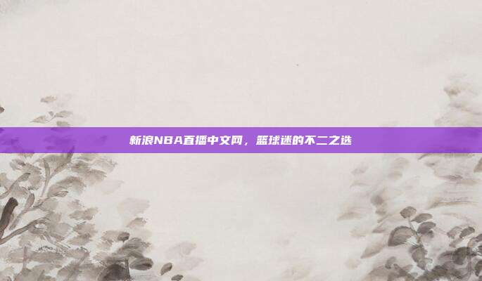 新浪NBA直播中文网，篮球迷的不二之选