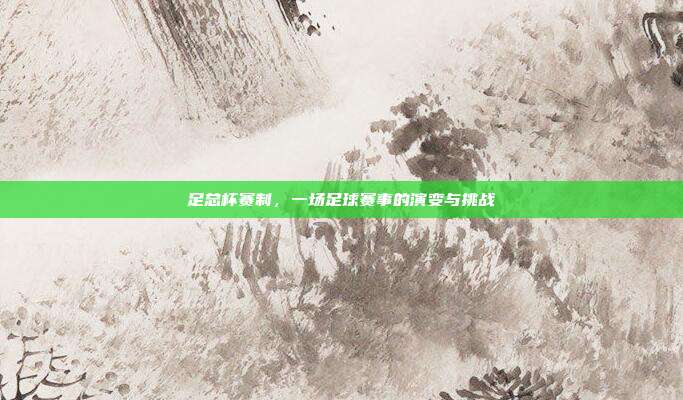 足总杯赛制，一场足球赛事的演变与挑战