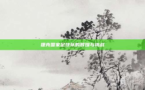 捷克国家足球队的辉煌与挑战