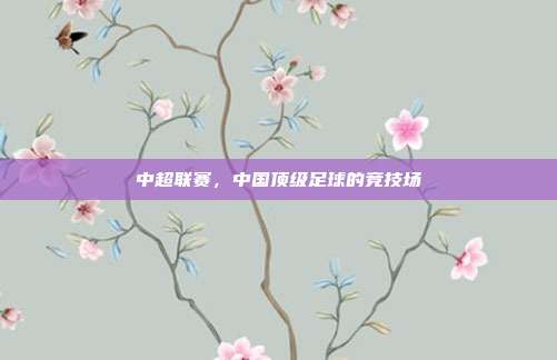中超联赛，中国顶级足球的竞技场