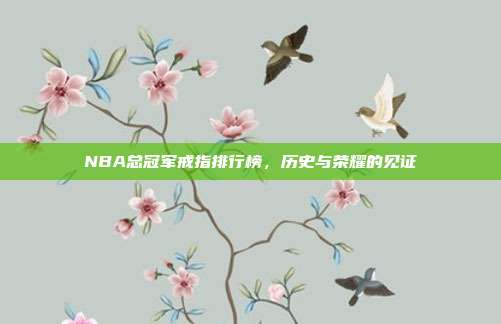 NBA总冠军戒指排行榜，历史与荣耀的见证
