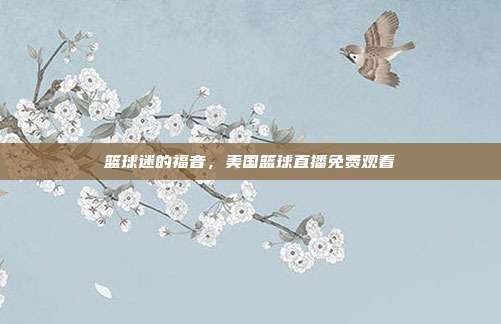 篮球迷的福音,美国篮球直播免费观看