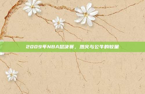 2009年NBA总决赛，热火与公牛的较量