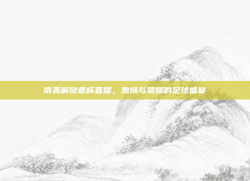 南美解放者杯直播,激情与荣耀的足球盛宴