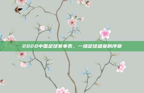 2020中国足球赛事表,一场足球盛宴的序章