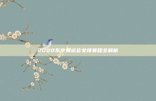2020东京奥运会女排赛程全解析