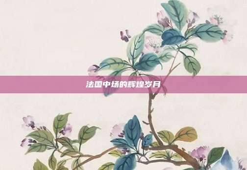 法国中场的辉煌岁月