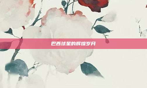 巴西球星的辉煌岁月