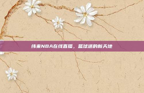 纬来NBA在线直播,篮球迷的新天地