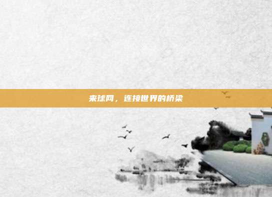 来球网，连接世界的桥梁