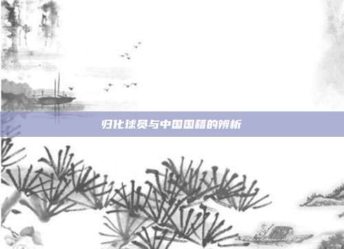 归化球员与中国国籍的辨析