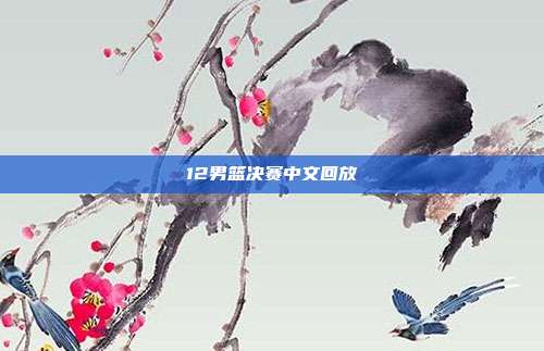 12男篮决赛中文回放