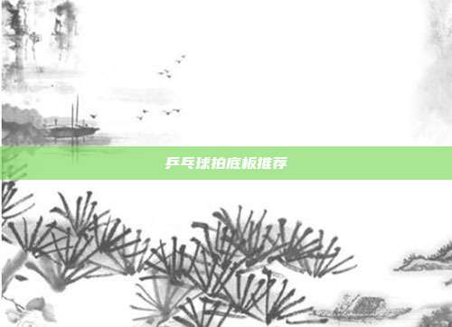 乒乓球拍底板推荐