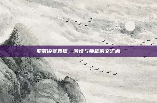 亚冠决赛直播，激情与荣耀的交汇点