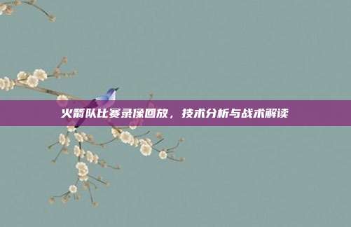 火箭队比赛录像回放，技术分析与战术解读
