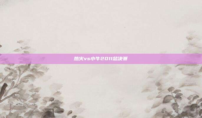 热火vs小牛2011总决赛