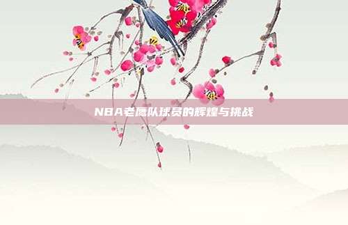 NBA老鹰队球员的辉煌与挑战