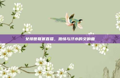 女排世联赛直播，激情与汗水的交响曲