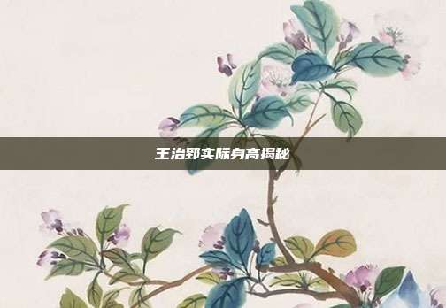 王治郅实际身高揭秘