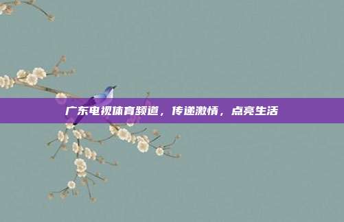 广东电视体育频道，传递激情，点亮生活