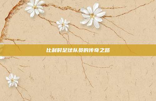 比利时足球队员的传奇之路