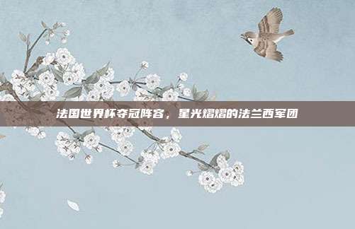 法国世界杯夺冠阵容，星光熠熠的法兰西军团