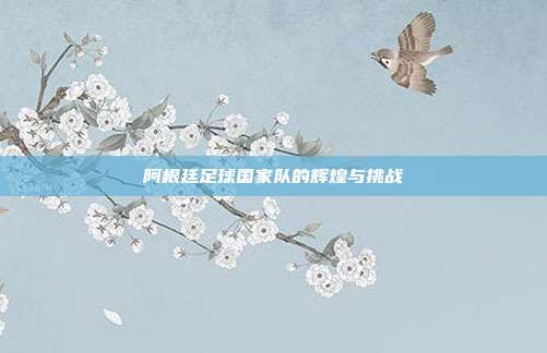 阿根廷足球国家队的辉煌与挑战