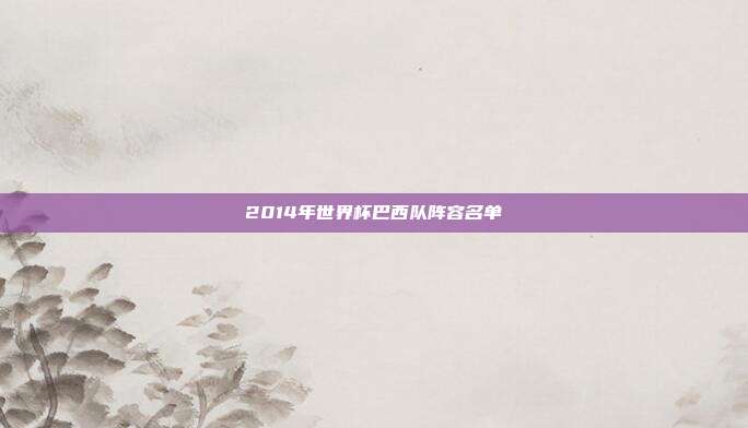 2014年世界杯巴西队阵容名单