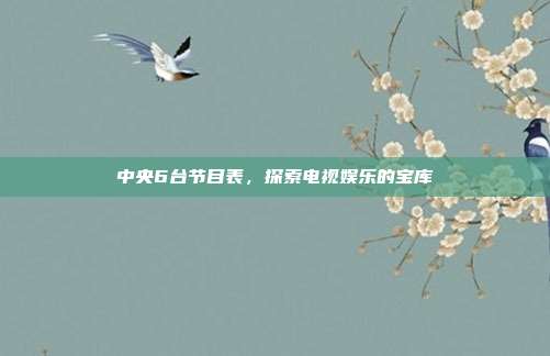 中央6台节目表，探索电视娱乐的宝库