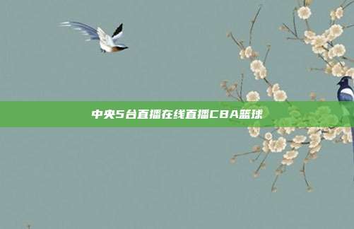 中央5台直播在线直播CBA篮球