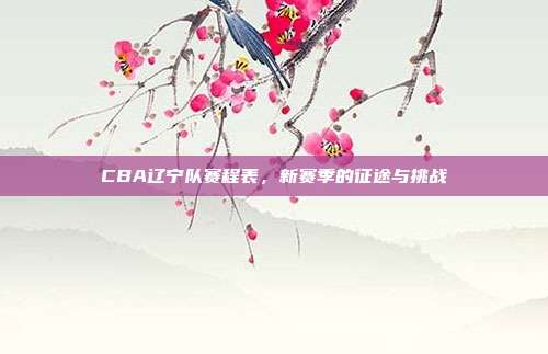 CBA辽宁队赛程表,新赛季的征途与挑战