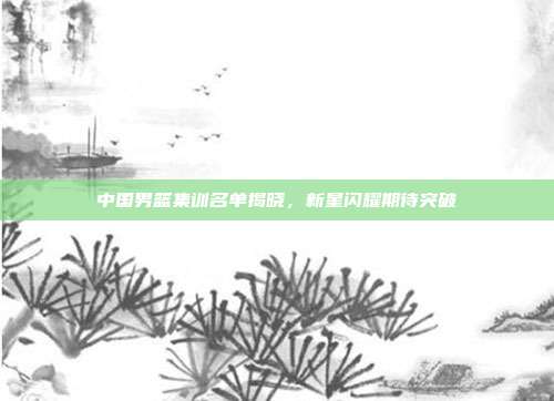 中国男篮集训名单揭晓,新星闪耀期待突破