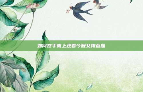 如何在手机上观看今晚女排直播