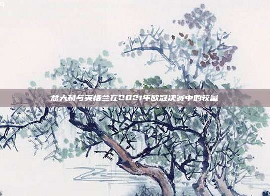 意大利与英格兰在2021年欧冠决赛中的较量