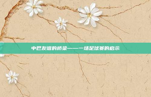 中巴友谊的桥梁——一场足球赛的启示