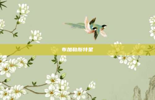 布加勒斯特星