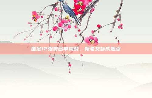 国足12强赛名单揭晓，新老交替成焦点