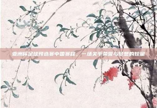 亚洲杯足球预选赛中国赛程，一场关乎荣誉与梦想的较量
