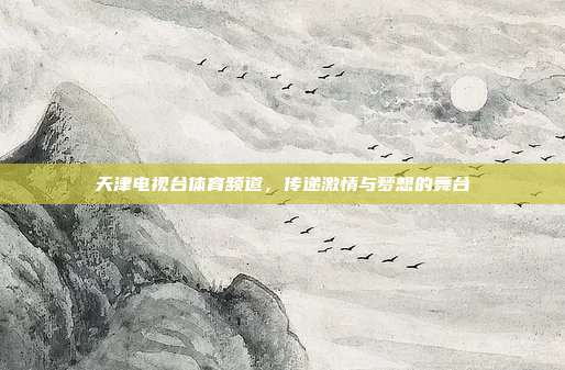 天津电视台体育频道,传递激情与梦想的舞台