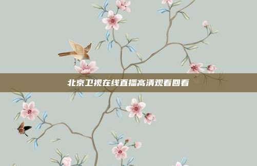北京卫视在线直播高清观看回看