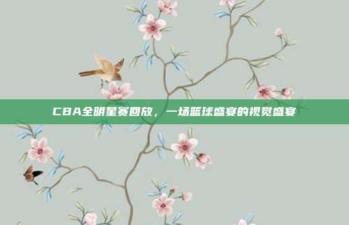 CBA全明星赛回放，一场篮球盛宴的视觉盛宴