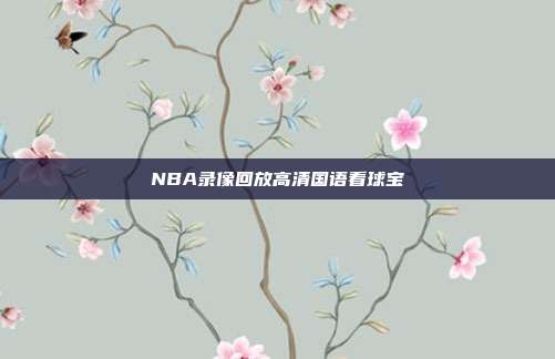 NBA录像回放高清国语看球宝