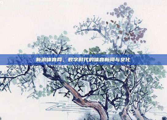 新浪体育网，数字时代的体育新闻与文化