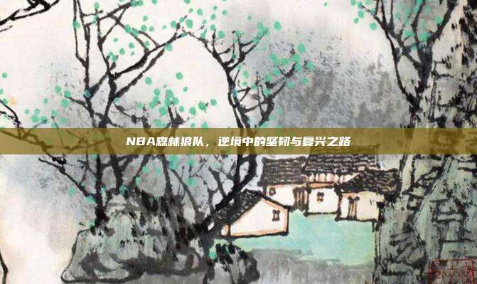 NBA森林狼队，逆境中的坚韧与复兴之路