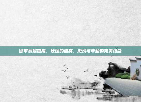 德甲赛程直播,球迷的盛宴,激情与专业的完美结合