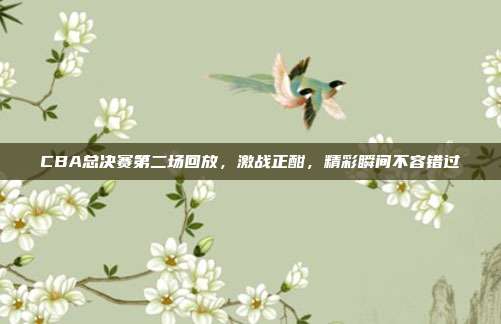 CBA总决赛第二场回放，激战正酣，精彩瞬间不容错过