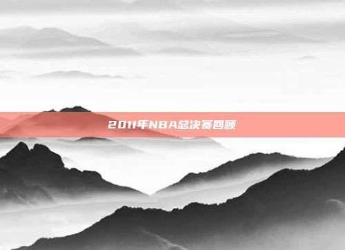 2011年NBA总决赛回顾