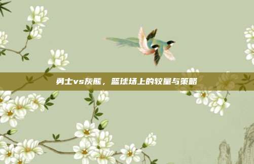 勇士vs灰熊,篮球场上的较量与策略
