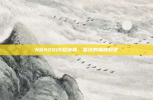 NBA2019总决赛，篮球的巅峰对决