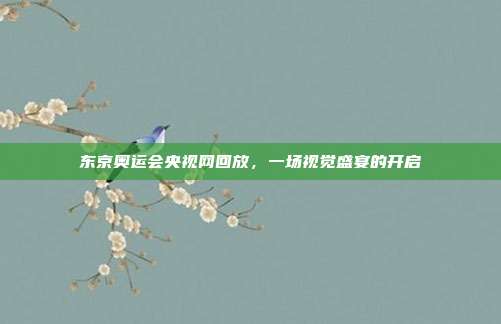 东京奥运会央视网回放,一场视觉盛宴的开启